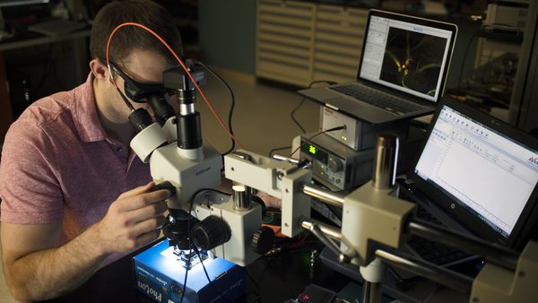 Student working at a microscope