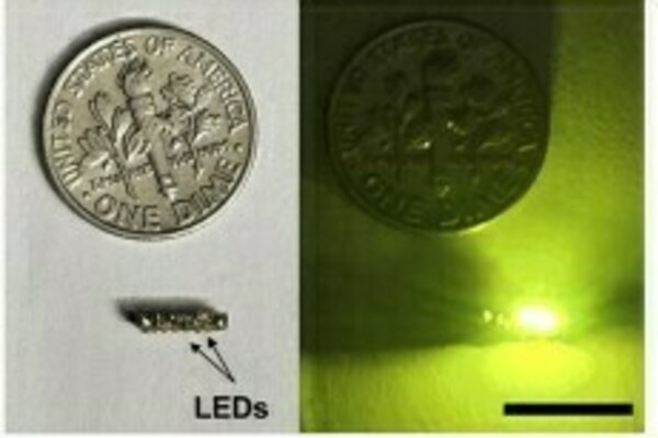 Wireless photodynamic device equipped with green LED