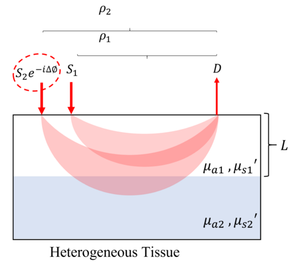 Structured interrogation concept showing how interference of two waves can interrogate deeper tissue